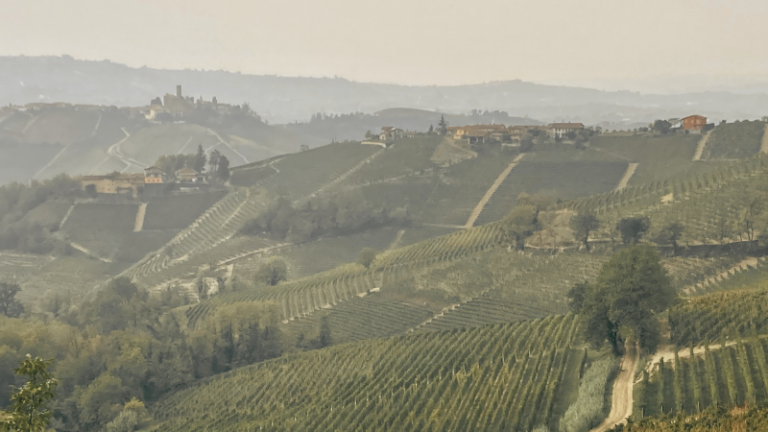 Read a Passage From Jonathan Galassi’s Book-Length Poem, The Vineyard