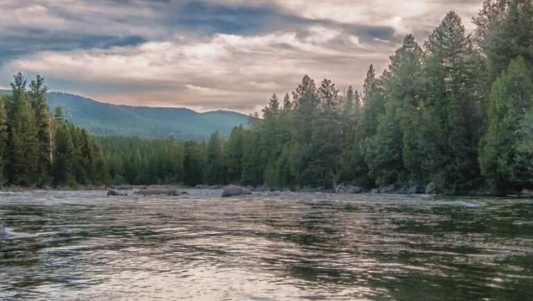 Of Nature, Art and Grace: On Norman Maclean’s A River Runs Through It